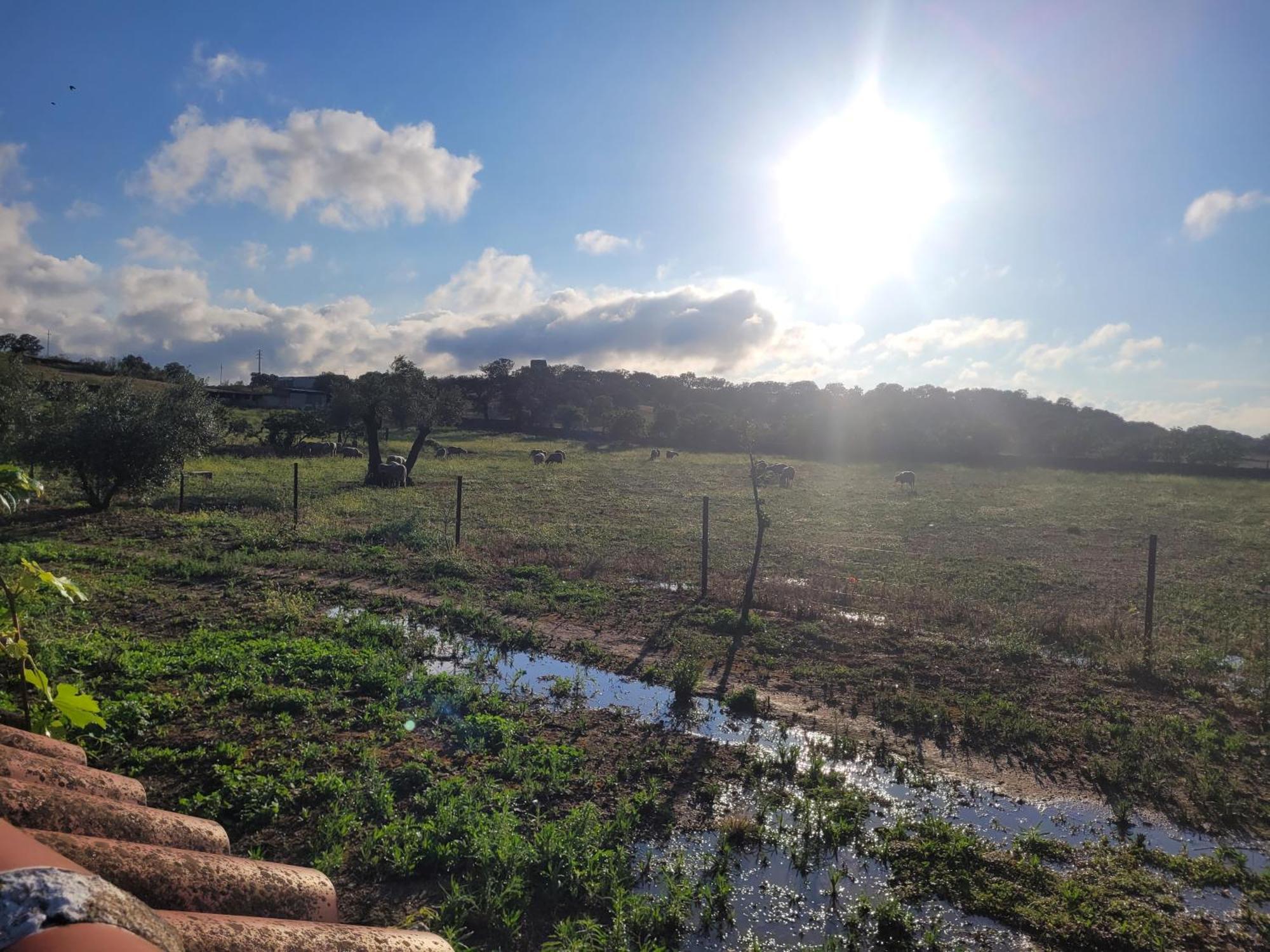 Complejo Rural El Soldado Villa Villanueva del Duque Esterno foto