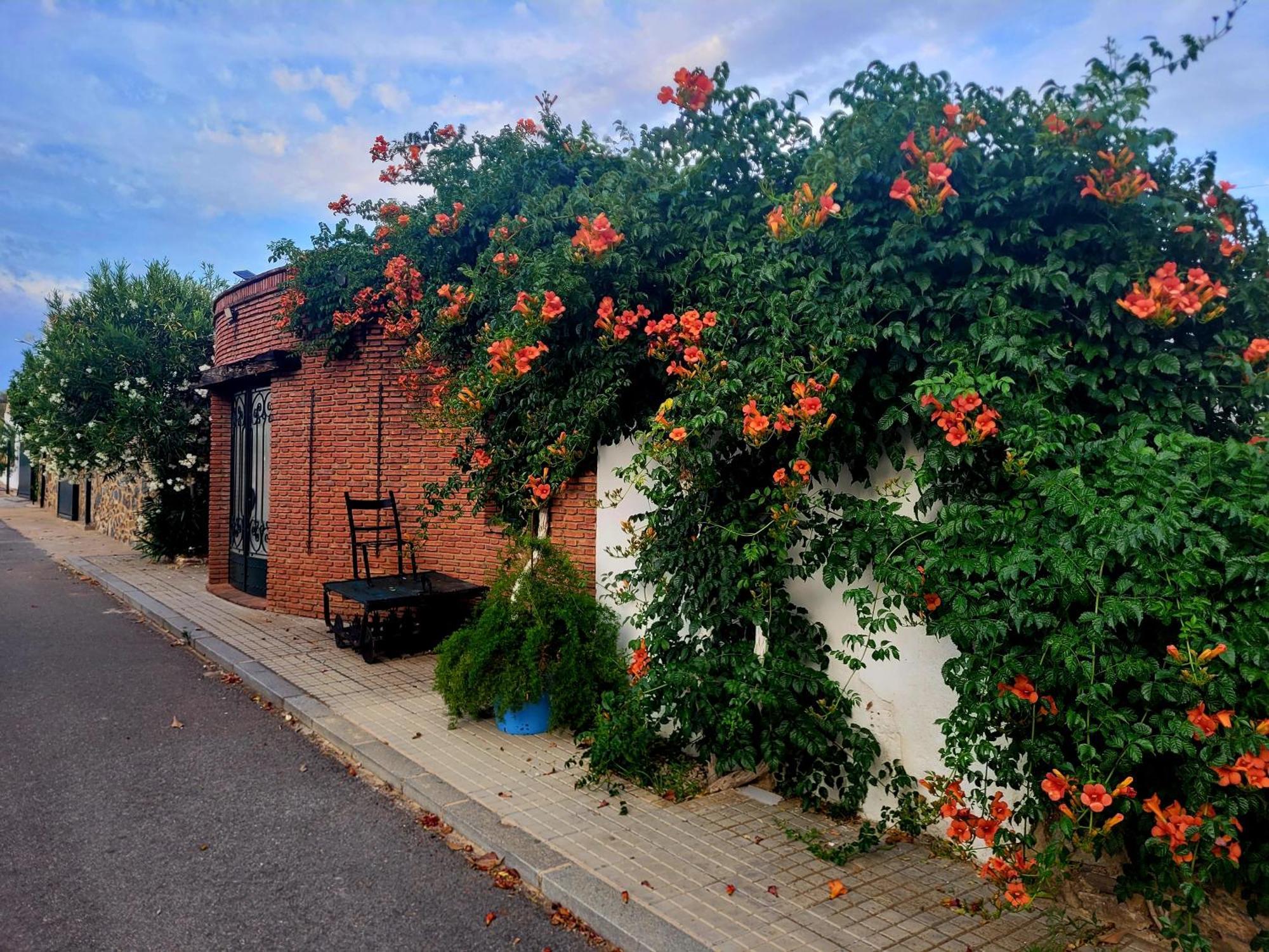 Complejo Rural El Soldado Villa Villanueva del Duque Esterno foto